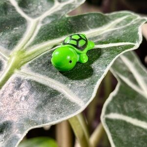 🍃3/$12 PLANT MAGNETS🍃